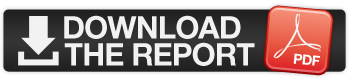 Download the report icon