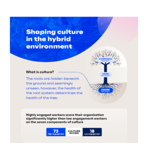 Shaping culture infographic mockup
