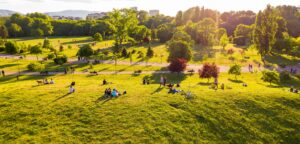 National Heart Foundation