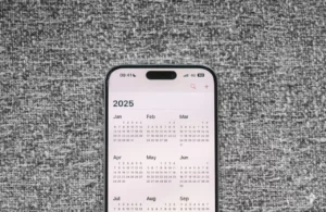 2025 Year in Review_header