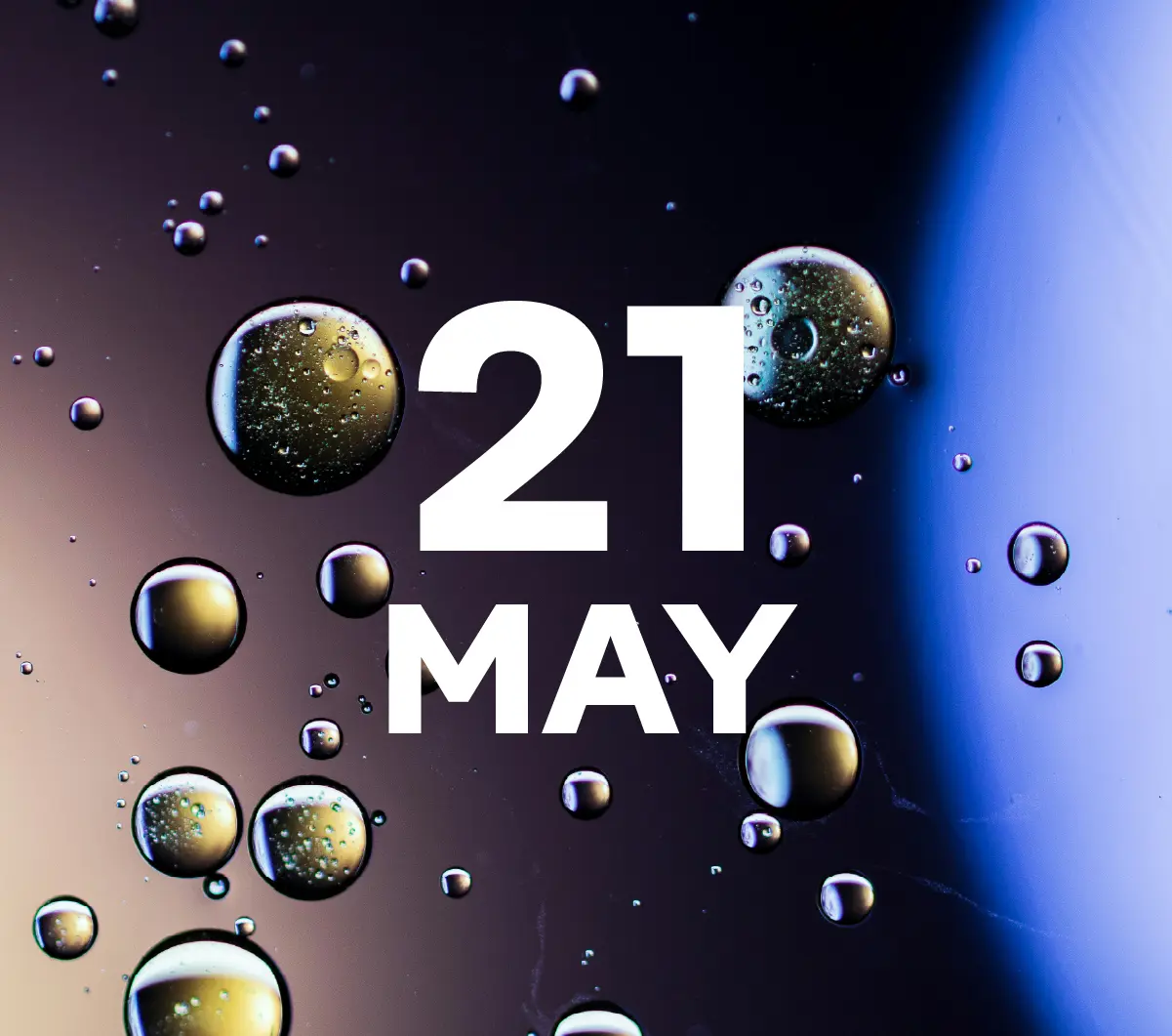 2026_education_insights_header