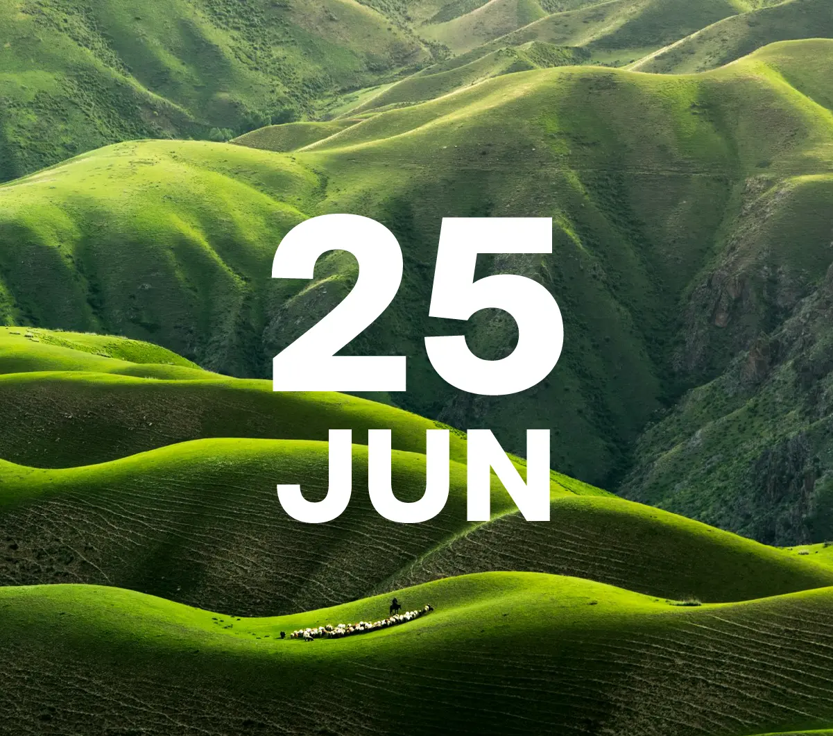 2026 NFP trends virtual event